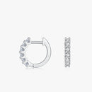 Subtle Elegance Earrings