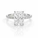 Regency Ring — A Majestic Expression of Light