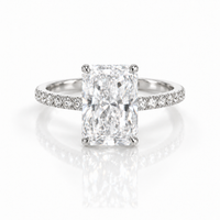Regency Ring — A Majestic Expression of Light