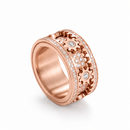 Rotating Ring – Celestial Gear